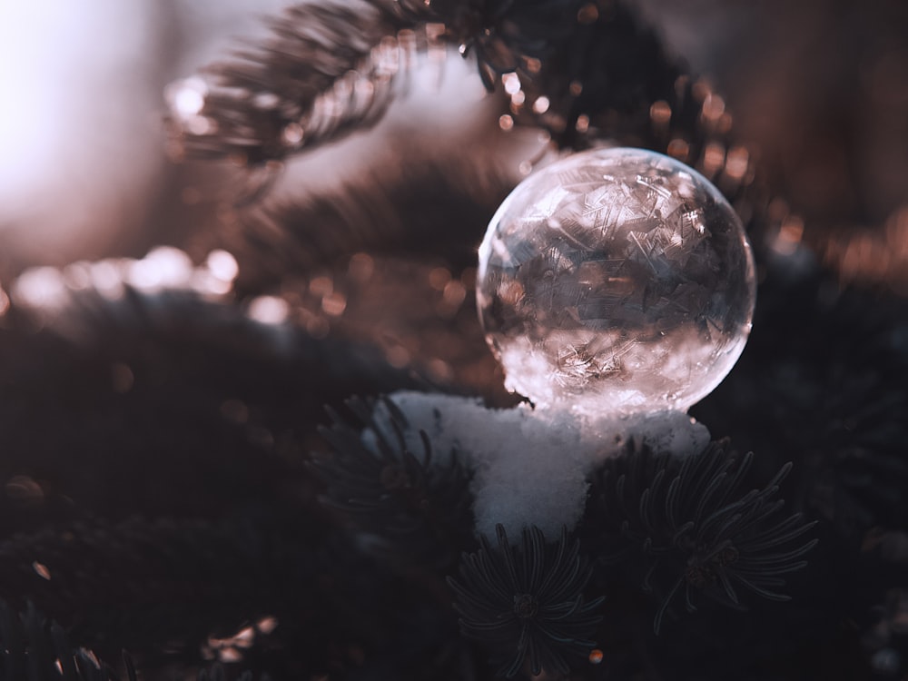 clear glass ball on black and white textile