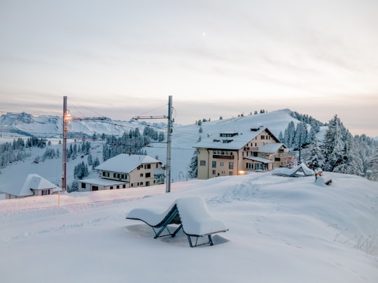 brown wooden bench on snow covered ground during daytime in Rigi Switzerland