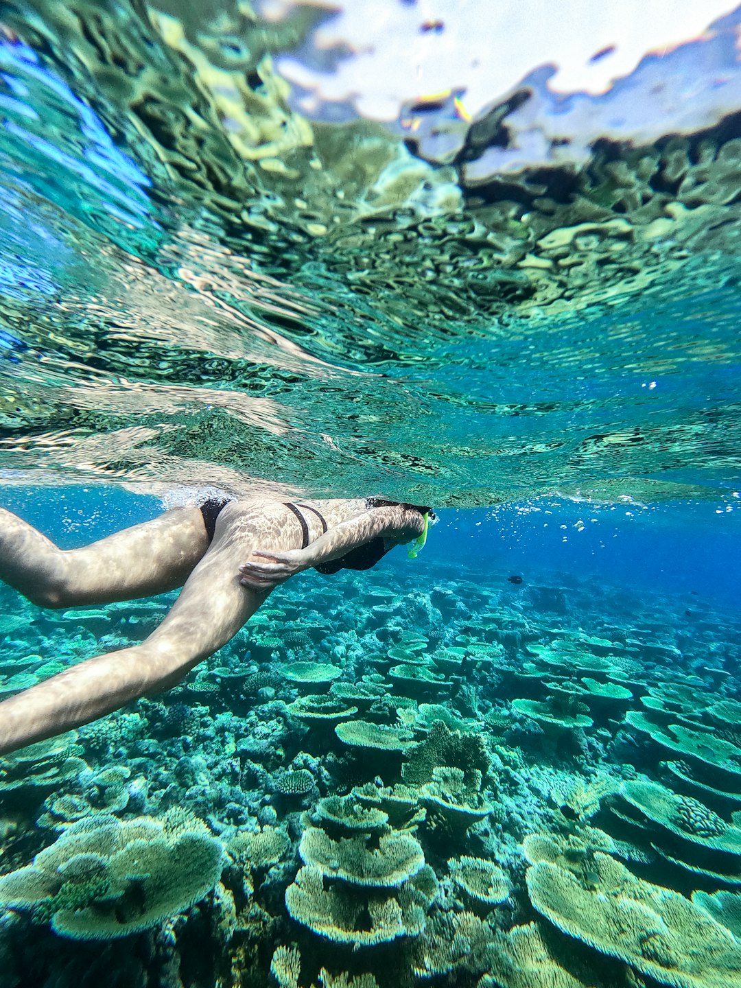 Underwater photo spot KinÄ�n Retreat Maldives