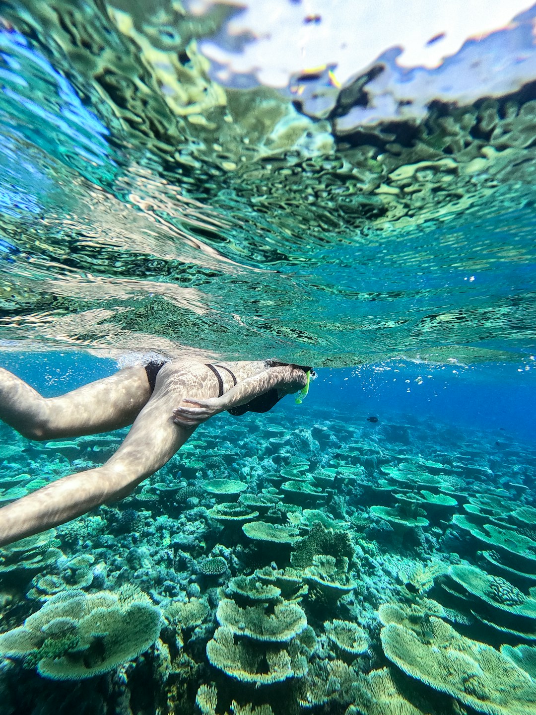 Underwater photo spot KinÄ�n Retreat Meeru Island