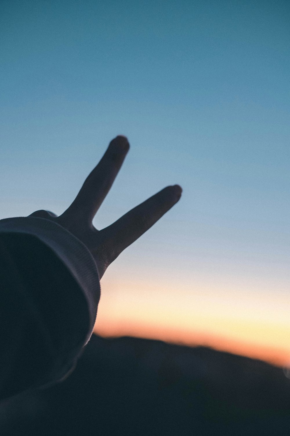 silhouette of persons hand