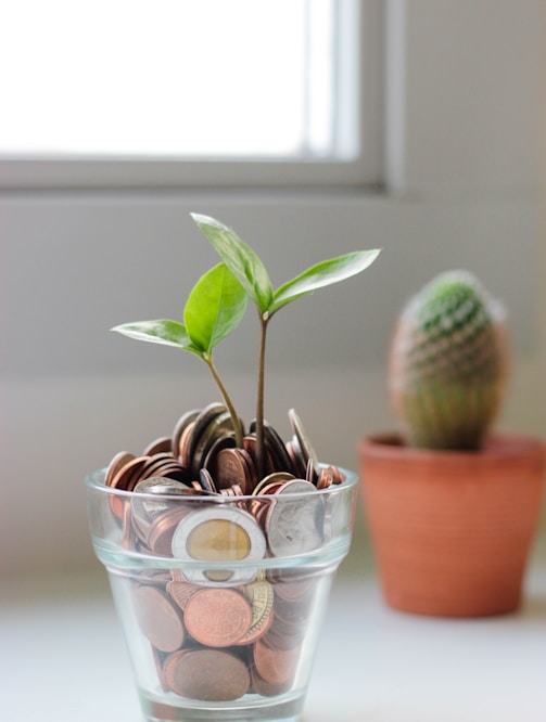 green plant in clear glass cup