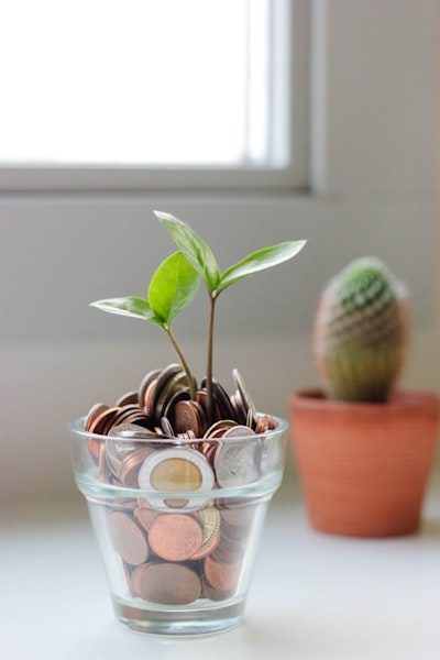 Glass jar with coins and growing plant