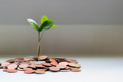 A small plant with green leaves sprouting from a pile of coins, symbolizing growth and investment. The setting is minimalistic, with a neutral background and the focus on the plant and coins.