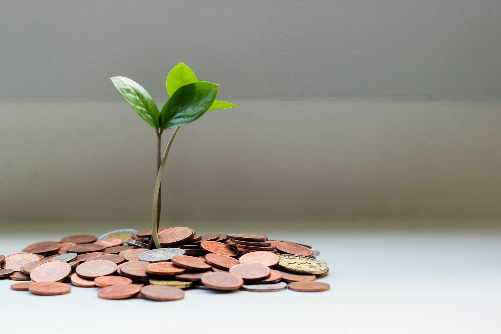 a small plant growing out of a pile of gold, copper, and silver coins