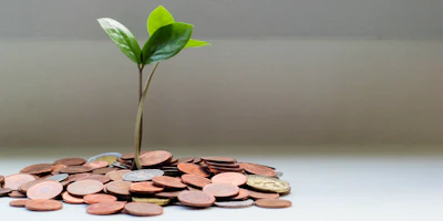 Financial Transition