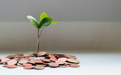 Оптовым клиентам — скидка от 15% с первого заказа