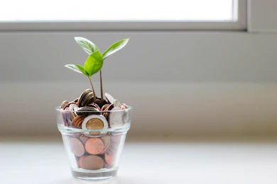 Financial planning