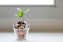 Your Financial Choice logo