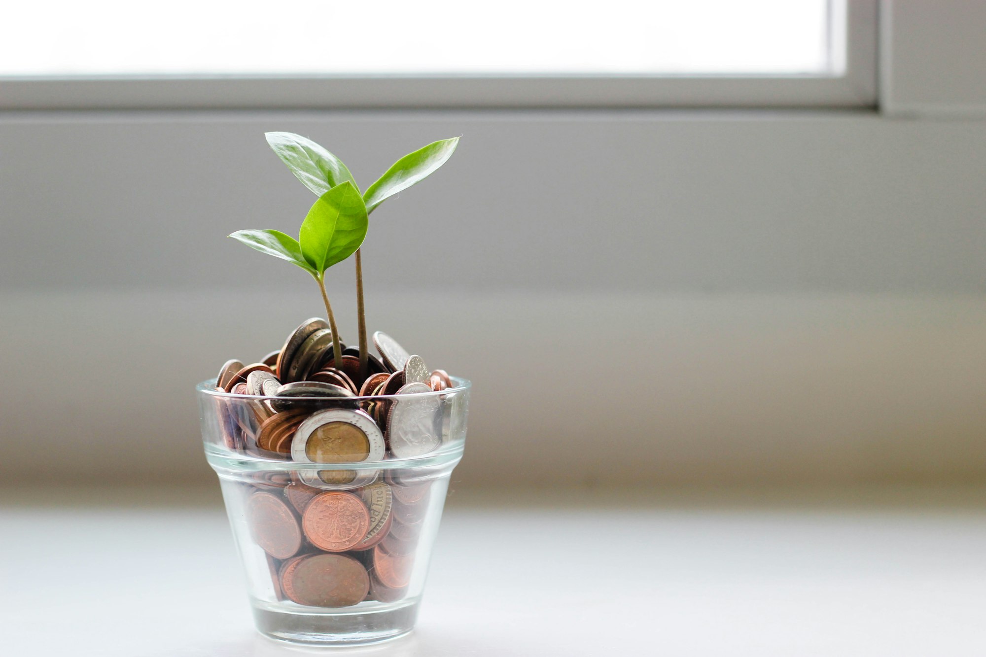 A small glass pot filled with coins with a plant in the middle