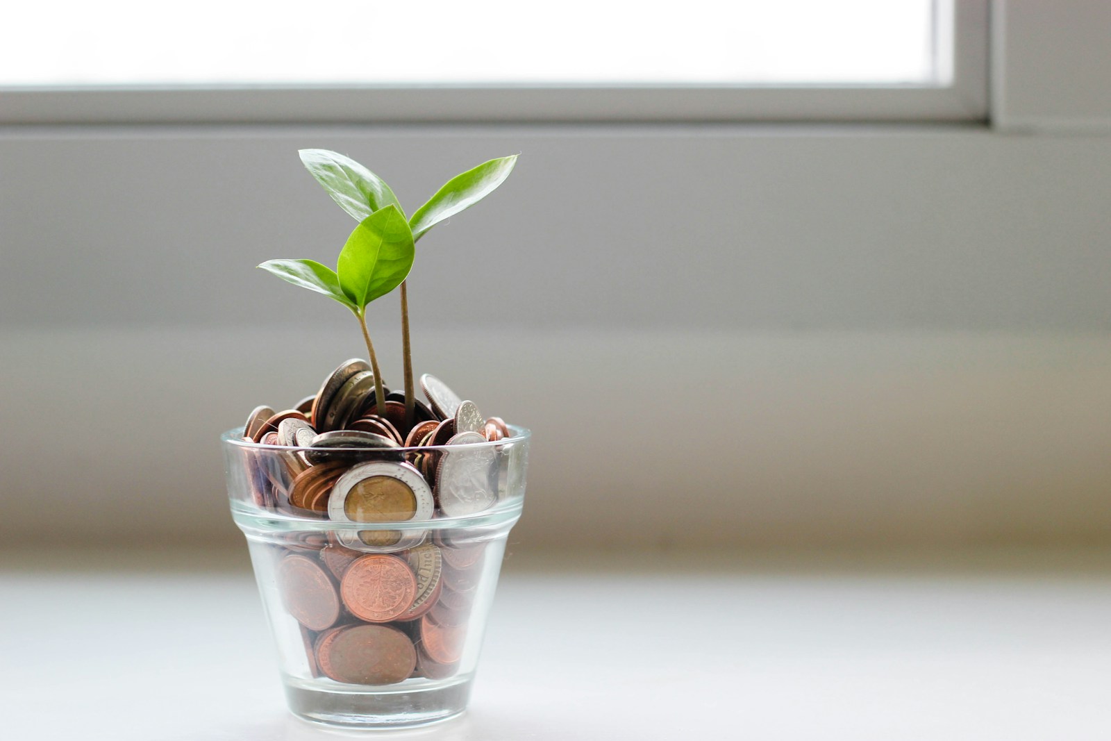 Plants with coins
