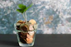 green plant in clear glass vase