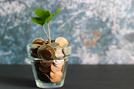 green plant in clear glass vase