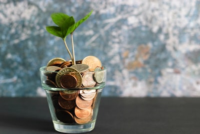financial growth symbolized by coins and plant