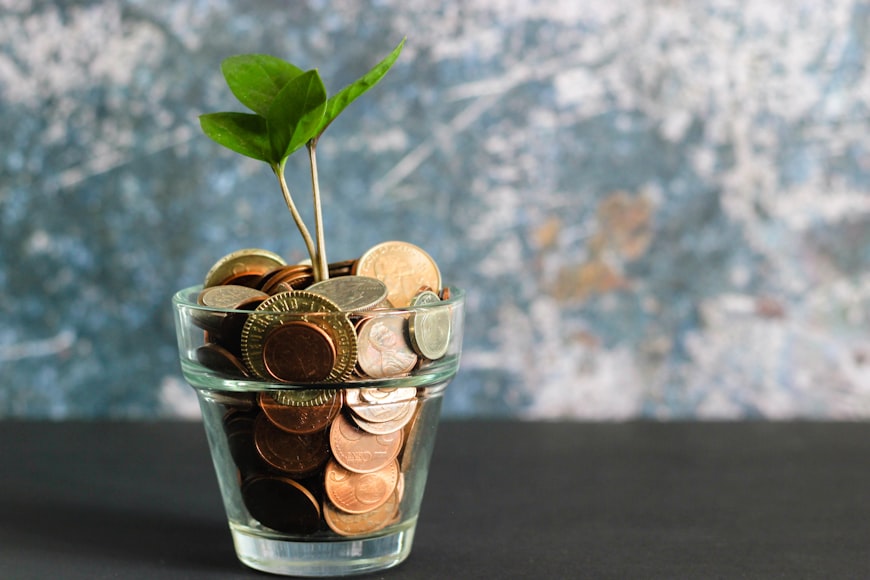 A pot with several coins and a small plant springing to life. 