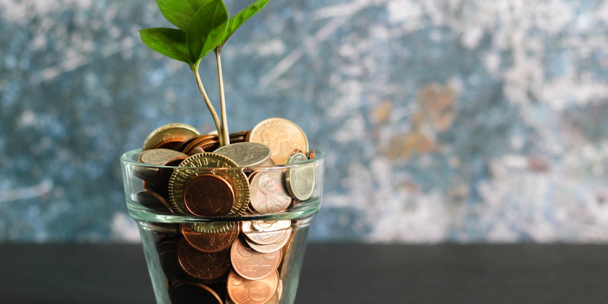 Choosing the Right Investment Tier for You