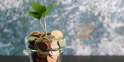 Career Path Finance