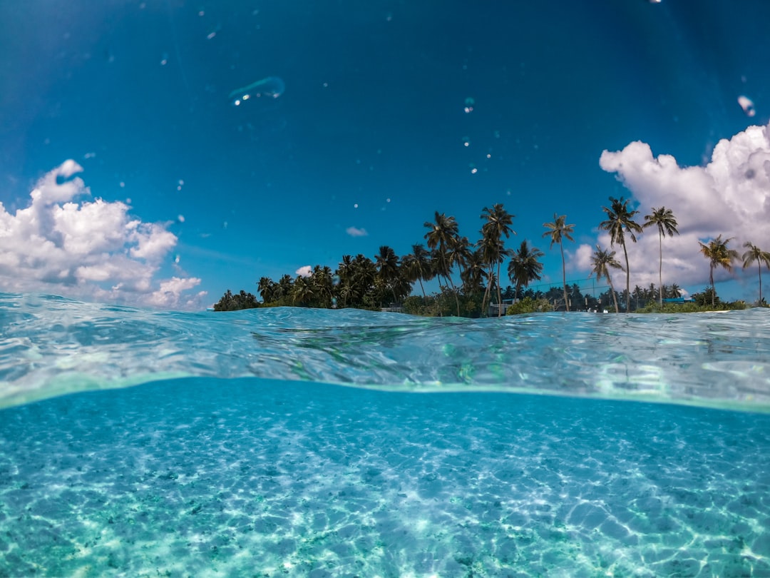 Escape to Paradise: Score Cyber Monday Deals on Tropical Getaways… — Escape to Paradise