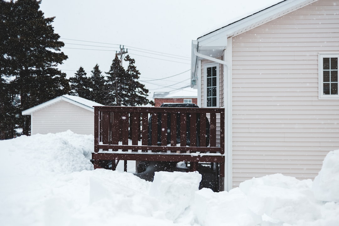 red and white wooden house near green tree during daytime