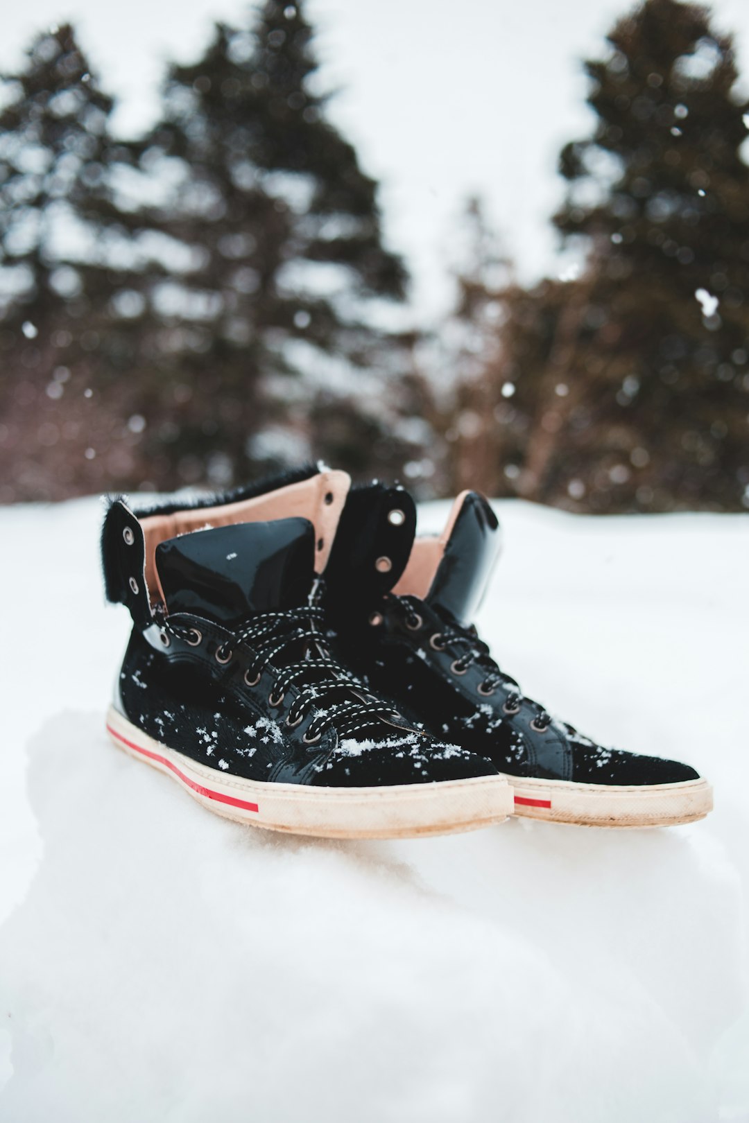 black and red air jordan 6 shoe on snow