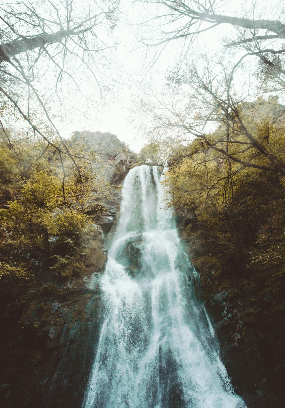 waterfalls in the middle of the forest