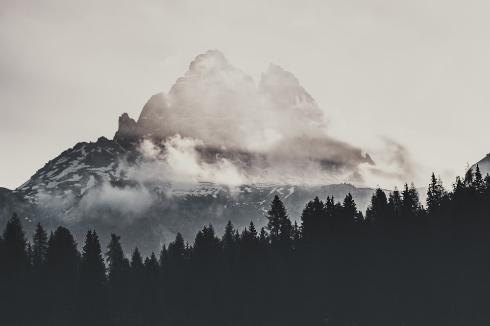 Grüne Bäume auf Bergen unter weißen Wolken