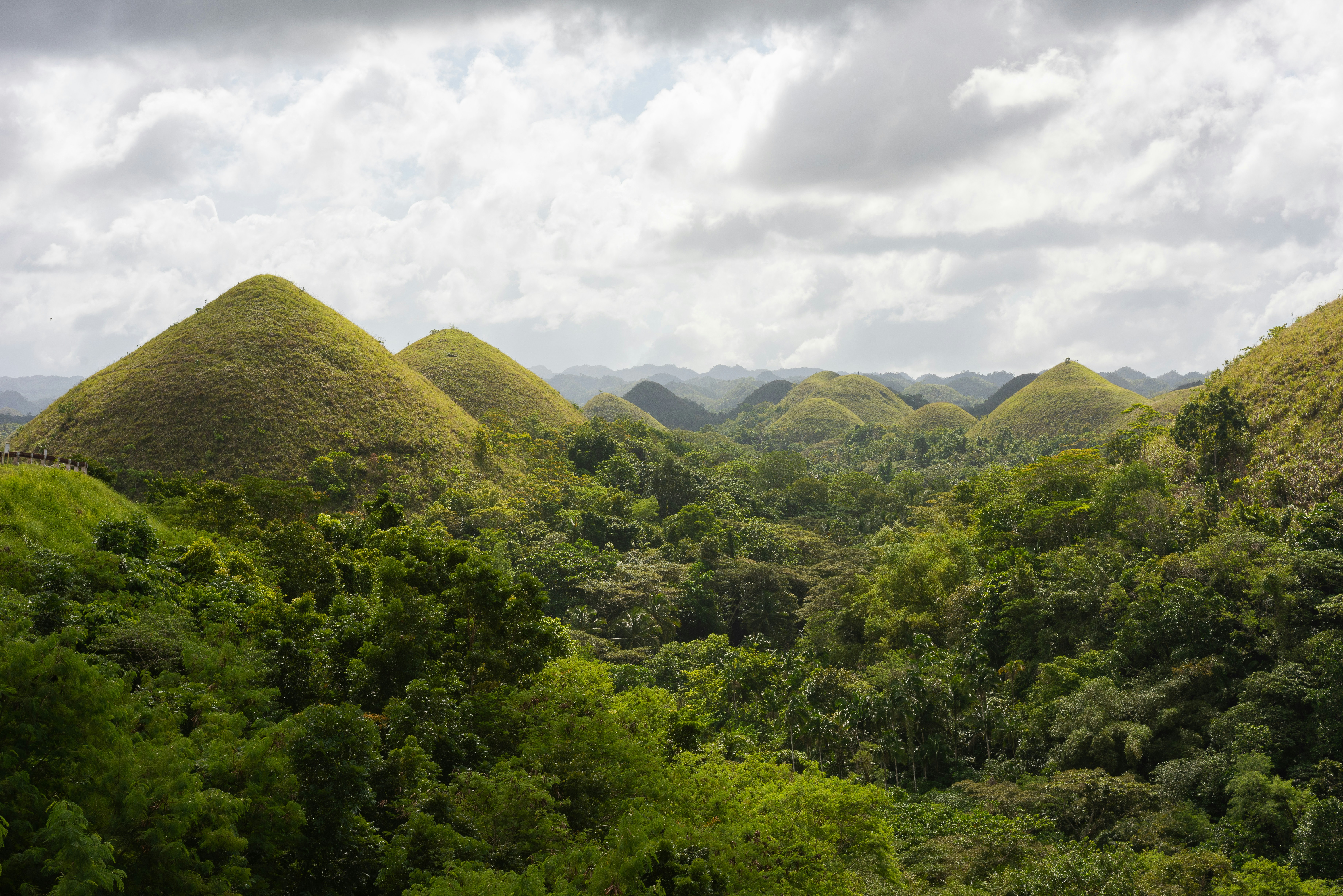 green trees on mountain under white clouds during daytime, Chocolate Hills</p><p>
