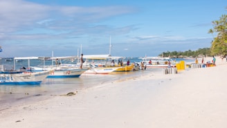 white and blue boat on beach during daytime