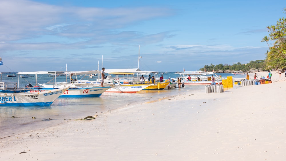 white and blue boat on beach during daytime