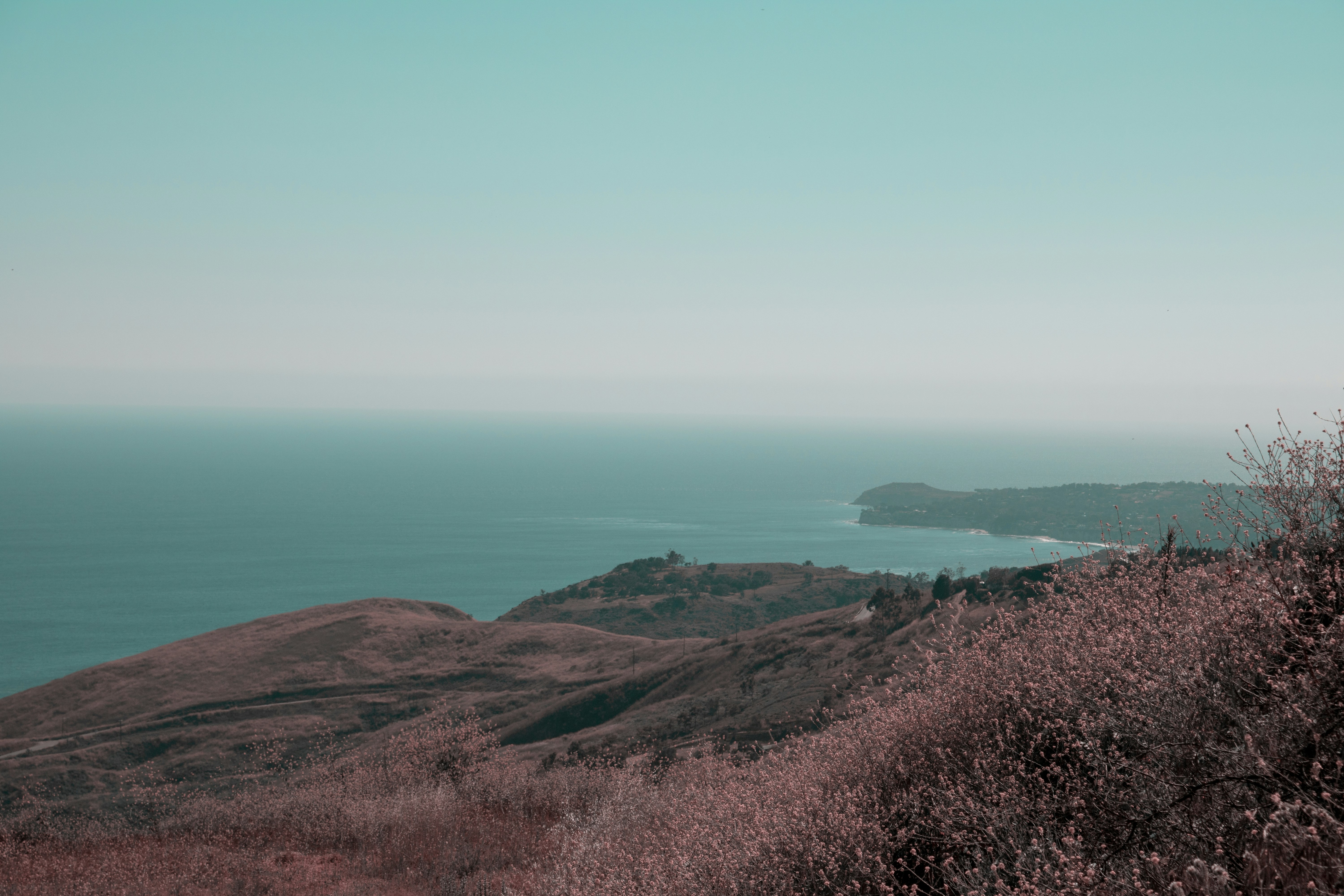 campo di erba verde e marrone vicino allo specchio d'acqua durante il giorno
