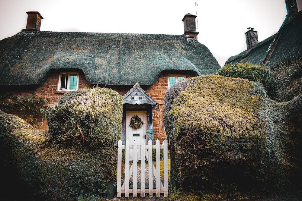 Maison en bois blanc et brun sur un champ d’herbe verte