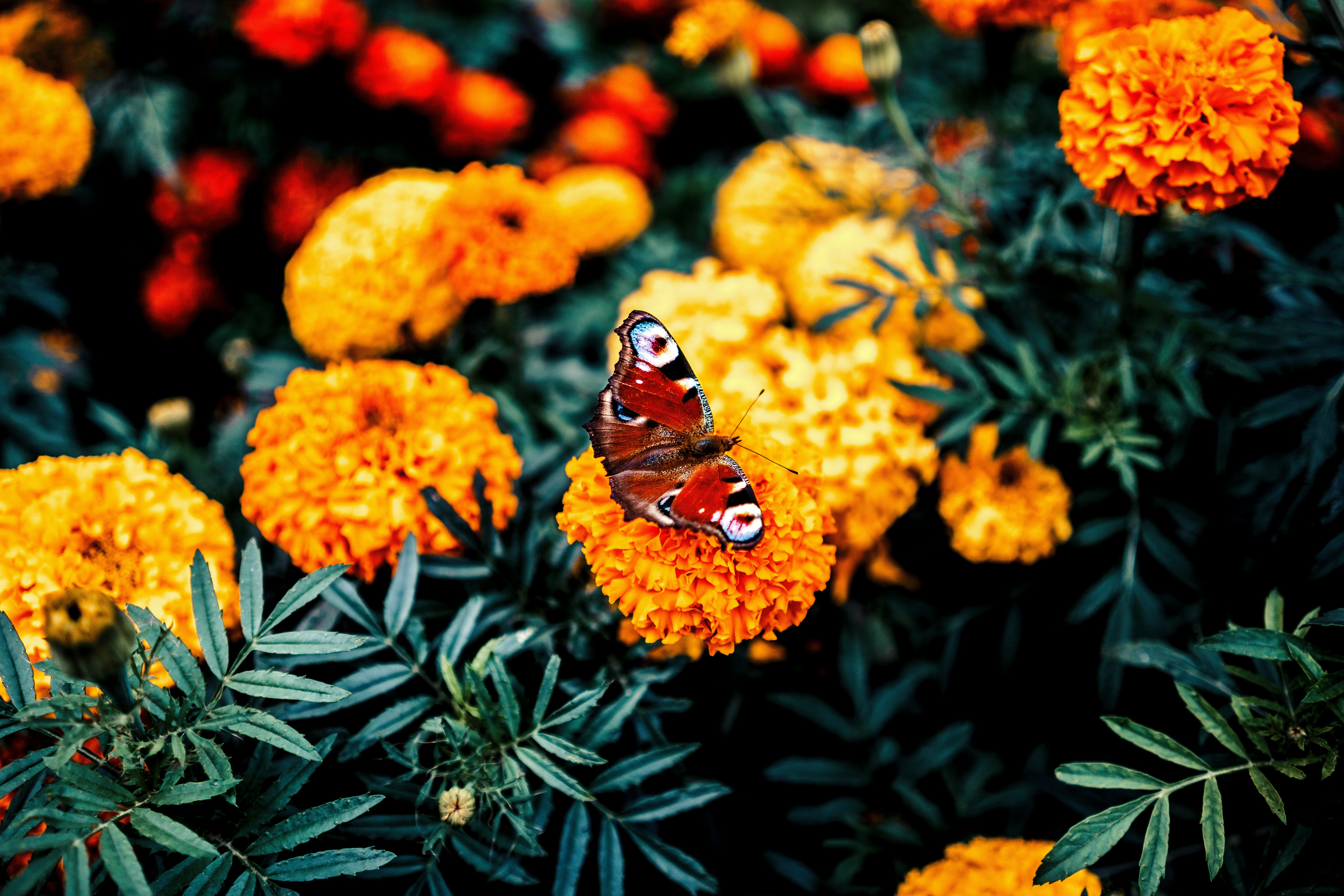 Photo by serge_k