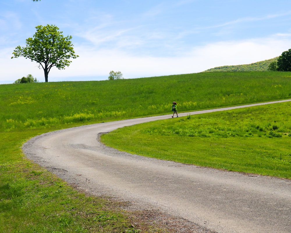 green grass field and trees during daytime