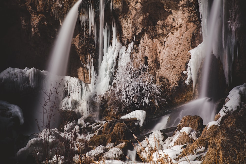 snow covered trees and rocks