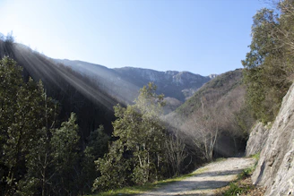 A peaceful hike through green mountains with soft sunlight filtering through trees.