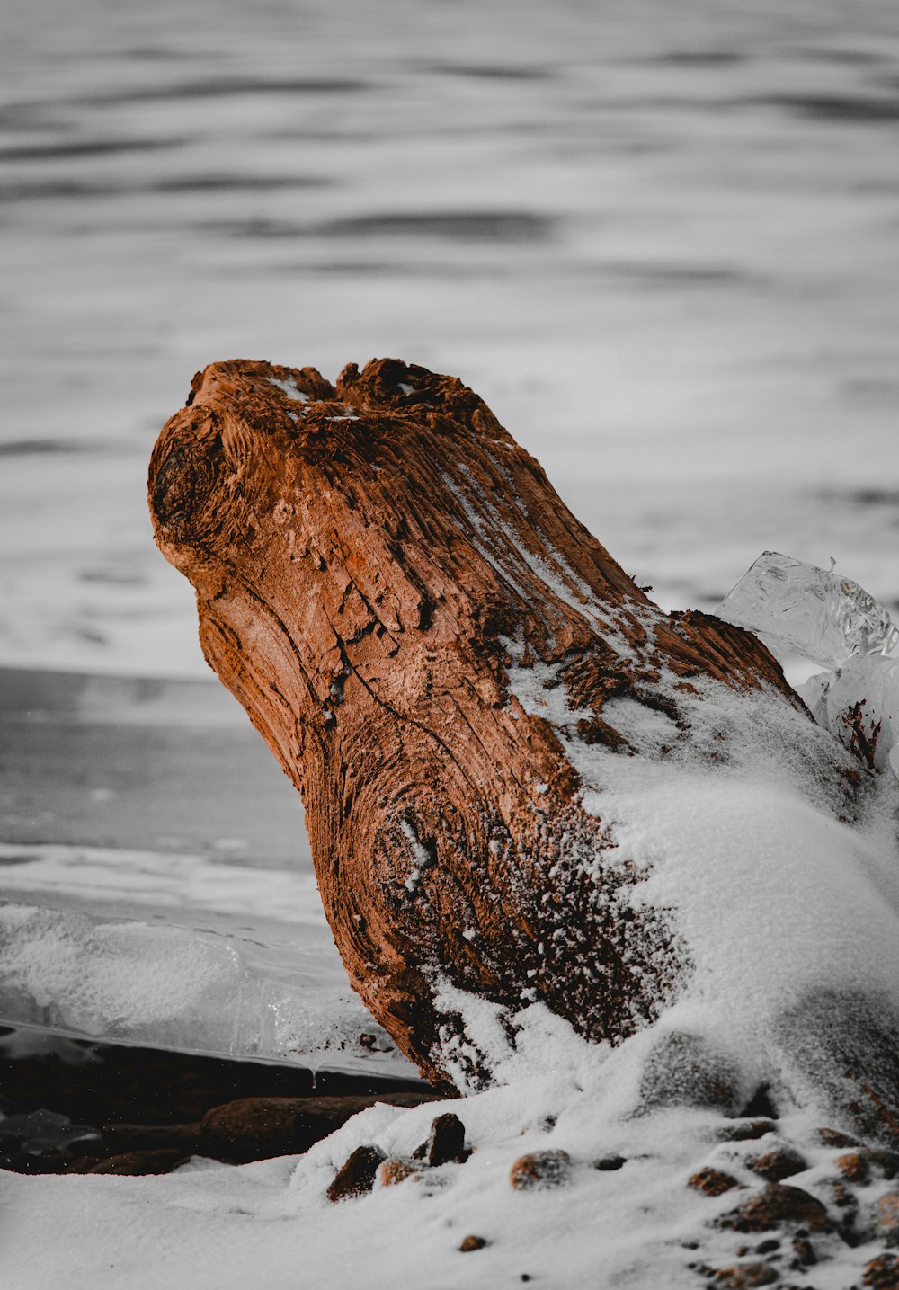 brown rock formation on snow covered ground during daytime