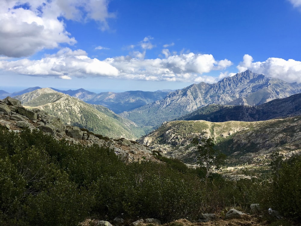 árvores verdes na montanha sob o céu azul durante o dia