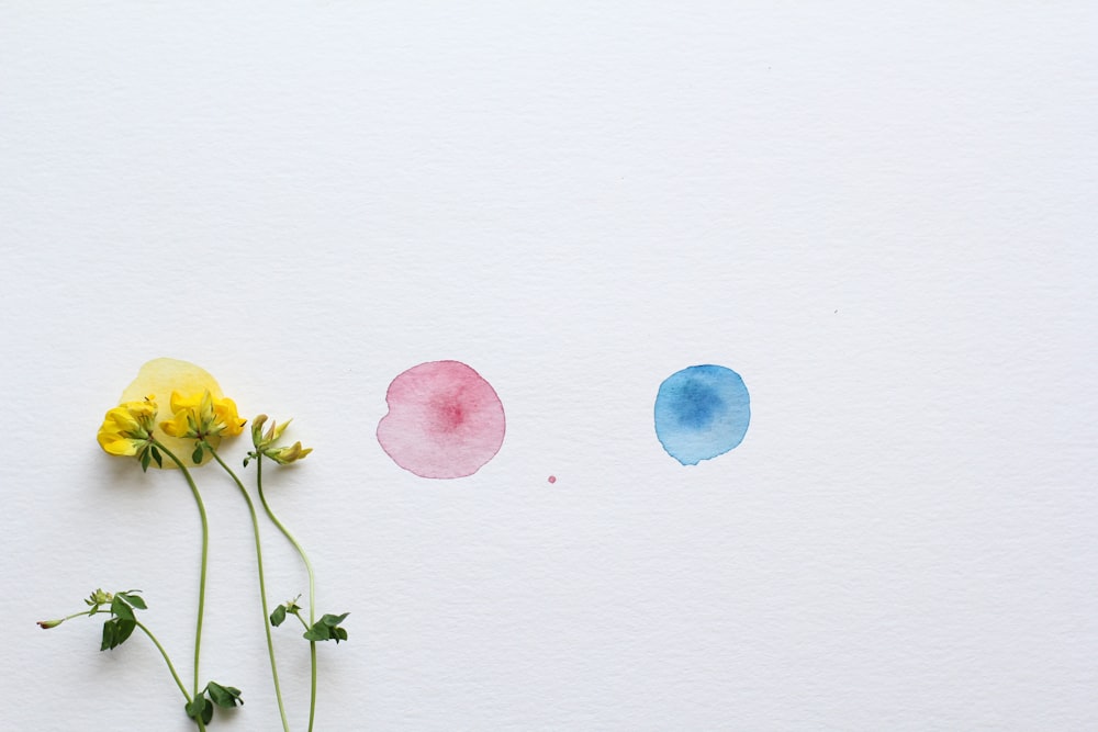 yellow and pink flowers on white wall