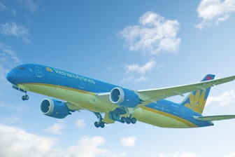 A happy customer booking a flight ticket on a laptop with VNPAY website visible