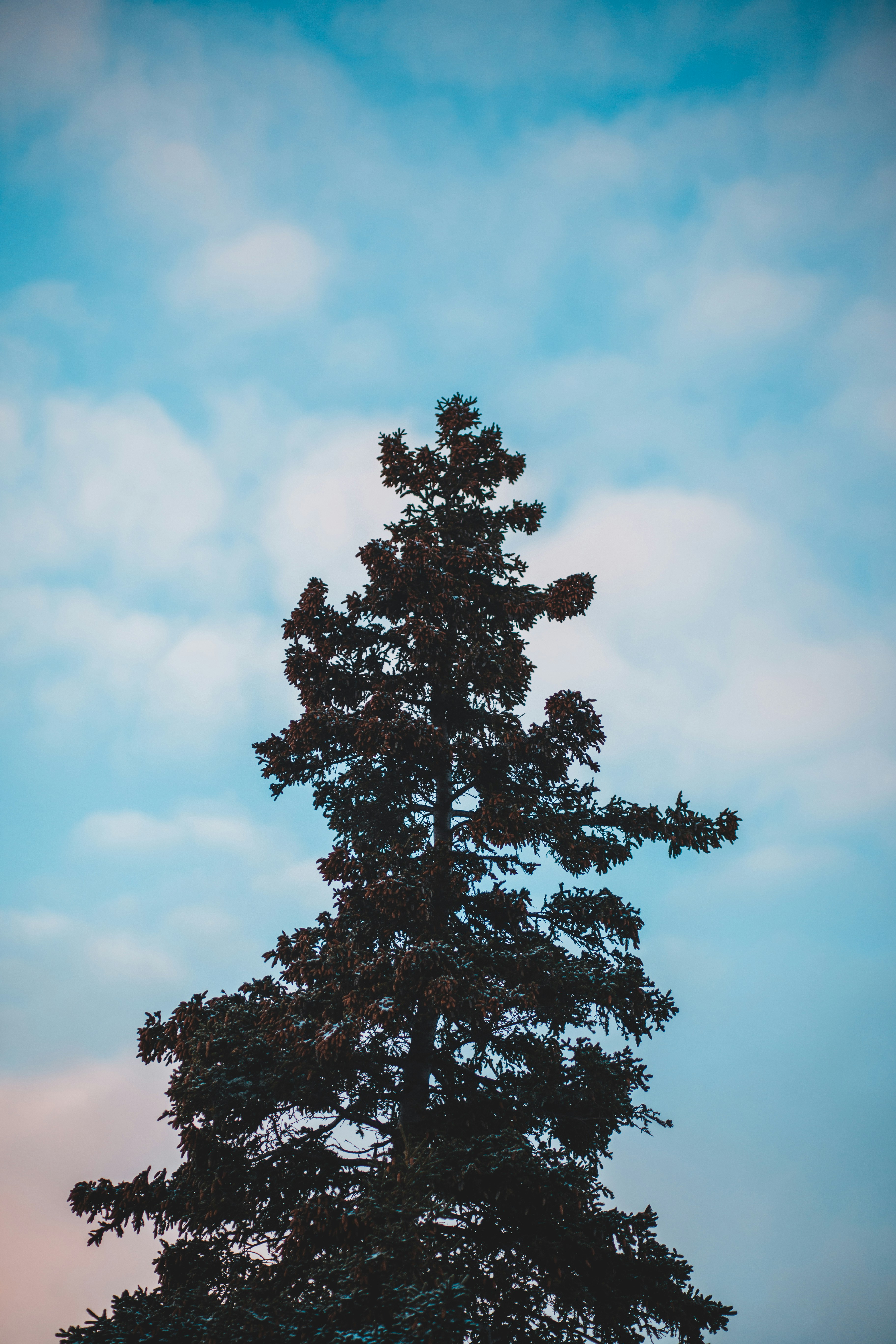 Photo by introspectivedsgn