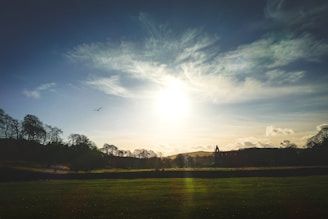 A vibrant hillside with birds flying freely at sunrise, symbolizing growth and freedom.