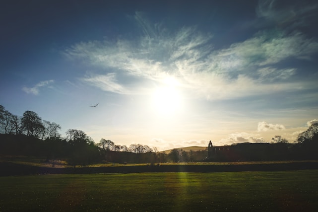 A vibrant hillside with birds flying freely at sunrise, symbolizing growth and freedom.