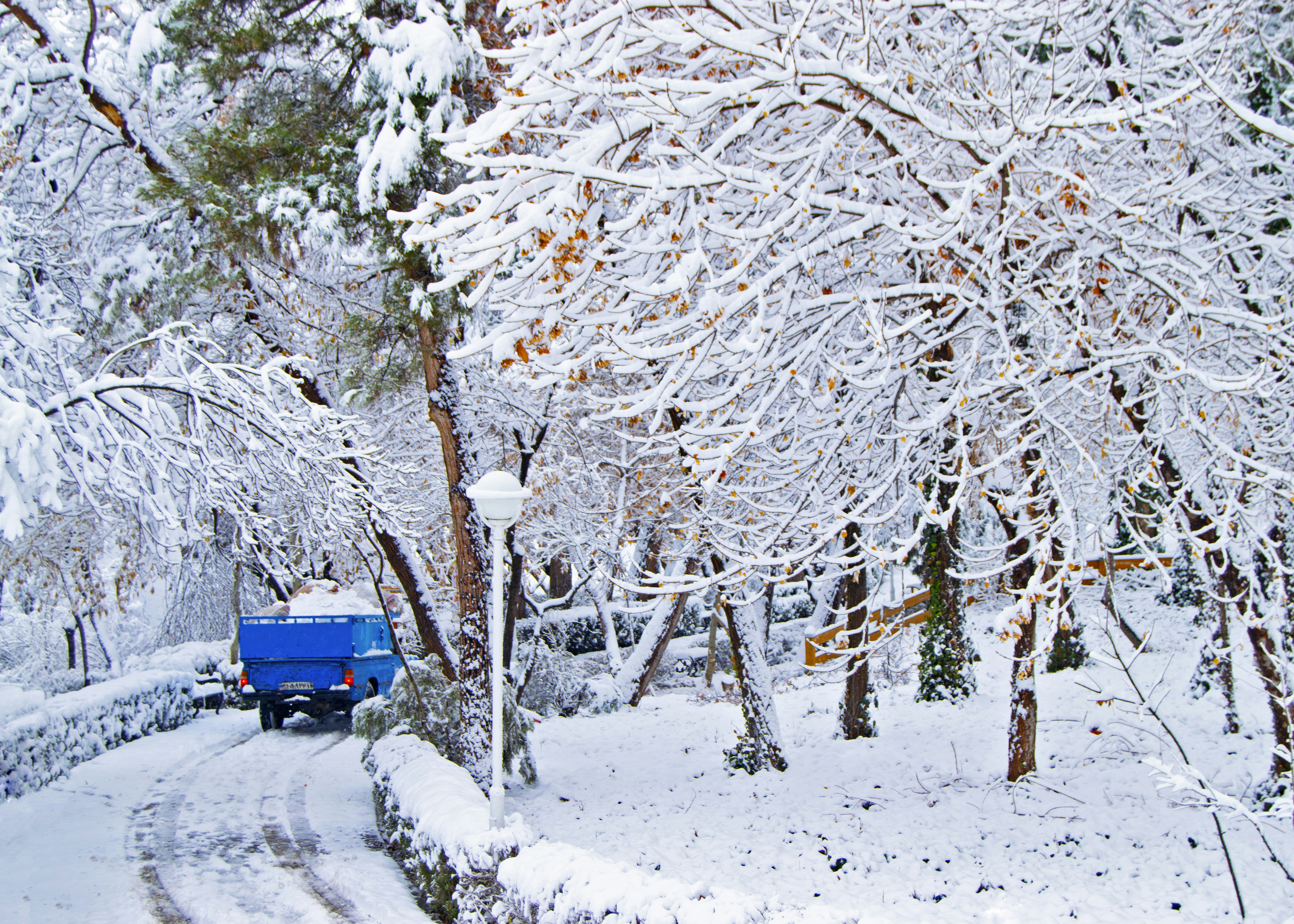 Photo by mohamadrajabzade97