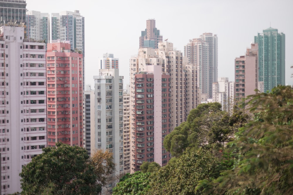 green trees near high rise buildings during daytime