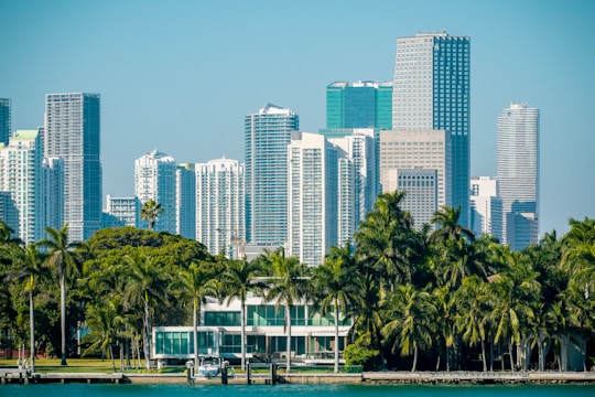 A graph showing steady upward growth with Miami skyline in the background.