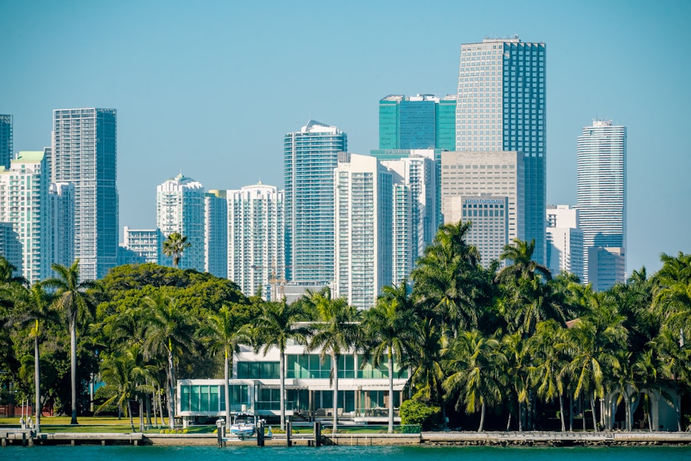 green trees near city buildings during daytime