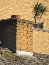 A brick chimney protrudes from a sloped roof, surrounded by moss. In the background, a potted plant with spiky leaves is set against a wall made of yellow bricks.