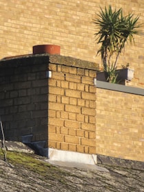 A brick chimney protrudes from a sloped roof, surrounded by moss. In the background, a potted plant with spiky leaves is set against a wall made of yellow bricks.