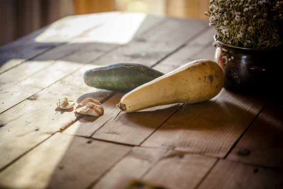 A rustic wooden table with fresh microgreens and walnuts, bathed in warm natural light.