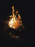 burning wood on fire pit